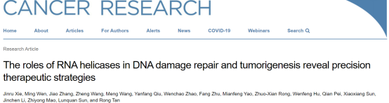 湘雅医院专家团队发文揭示DNA损伤修复与肿瘤发生发展及治疗抵抗新机制